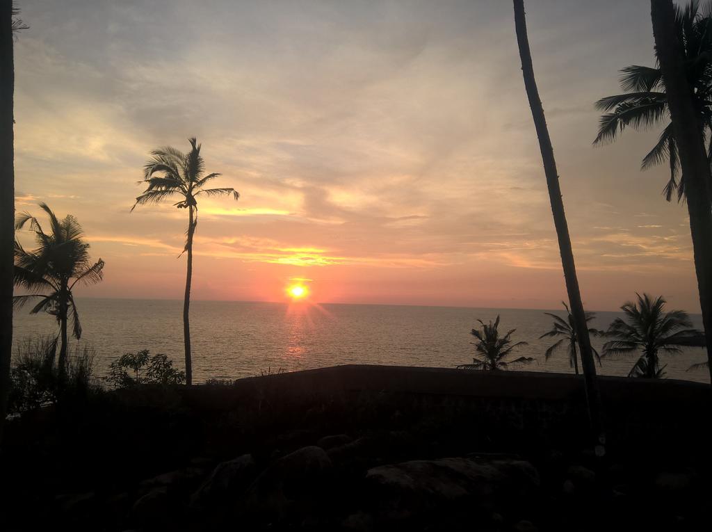 Hotel Seaweed Kovalam Exterior photo